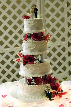 1876_Wedding_Cake